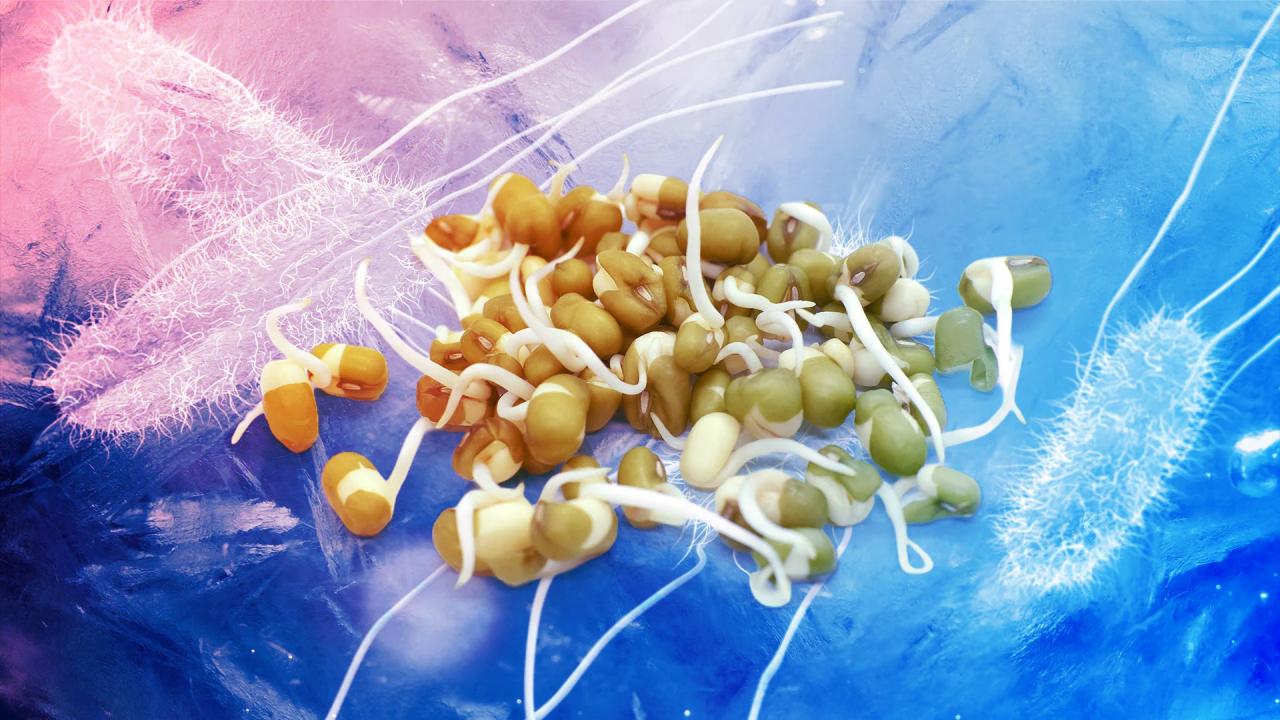 Sokkoló visszahívás: Már 70 fagyasztott zöldség és gyümölcs veszélyes lehet!