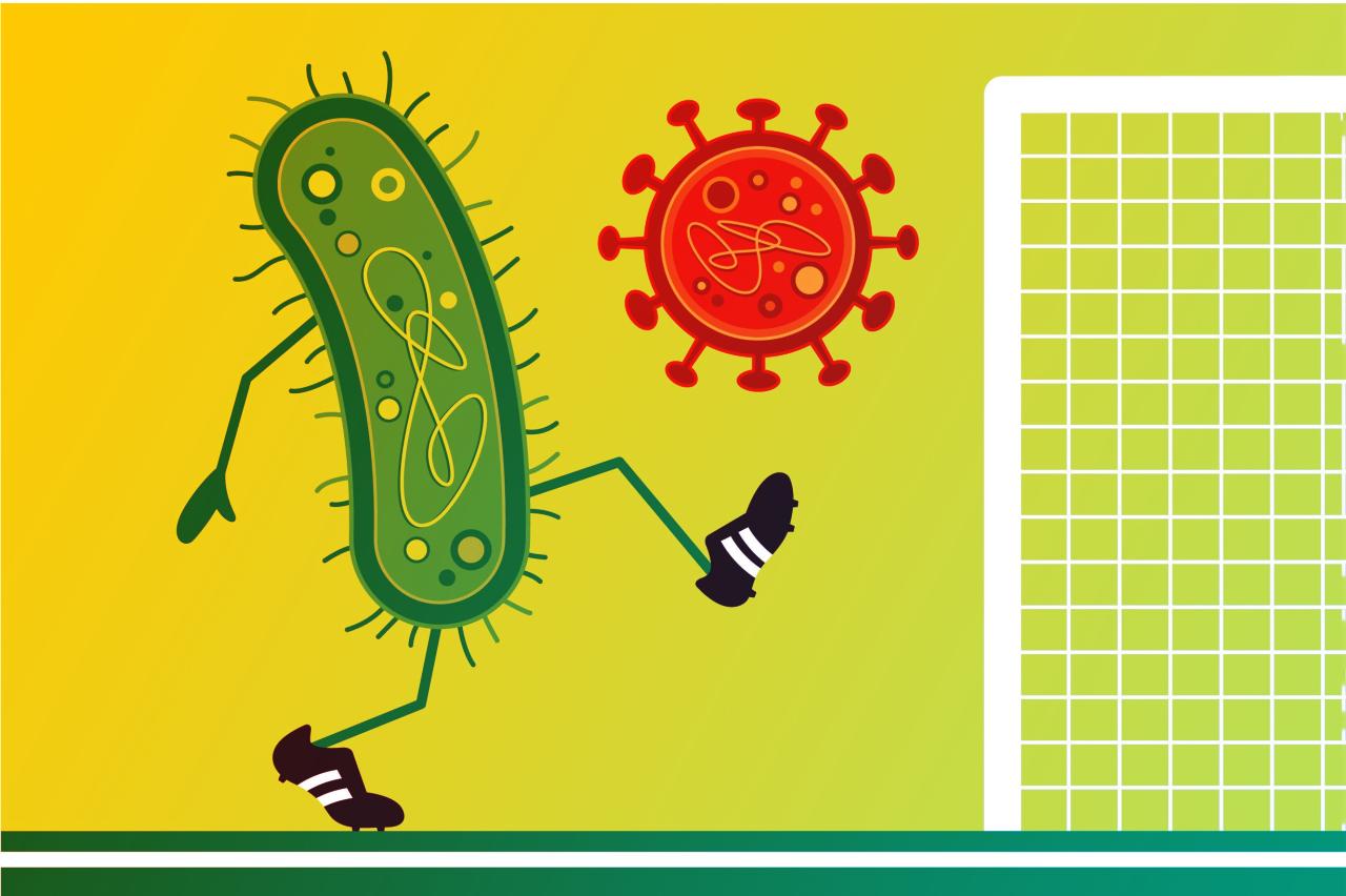 A baktériumok kreatív védekezési trükkje: vírusból vakcina