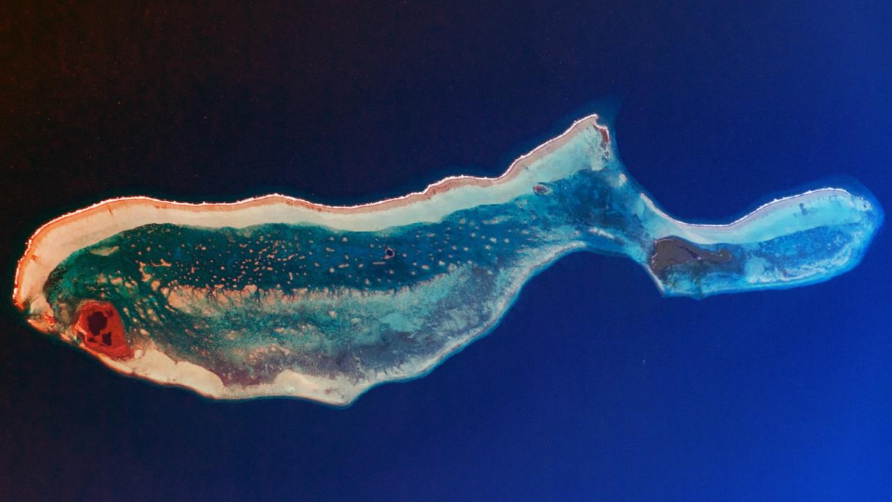 A belízei bálna, amelynek kék „orrlyuka” csodát rejt