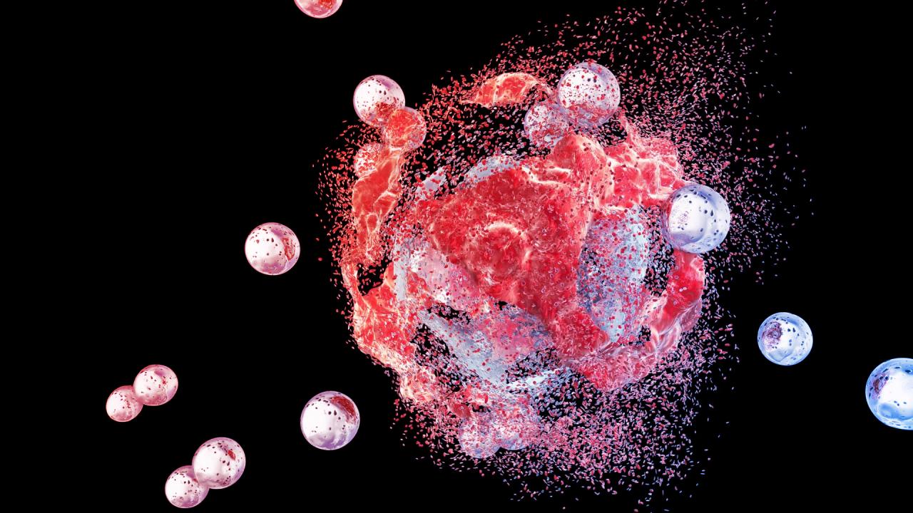 A daganatokban élő rejtett baktériumok segíthetnek legyőzni a rákot