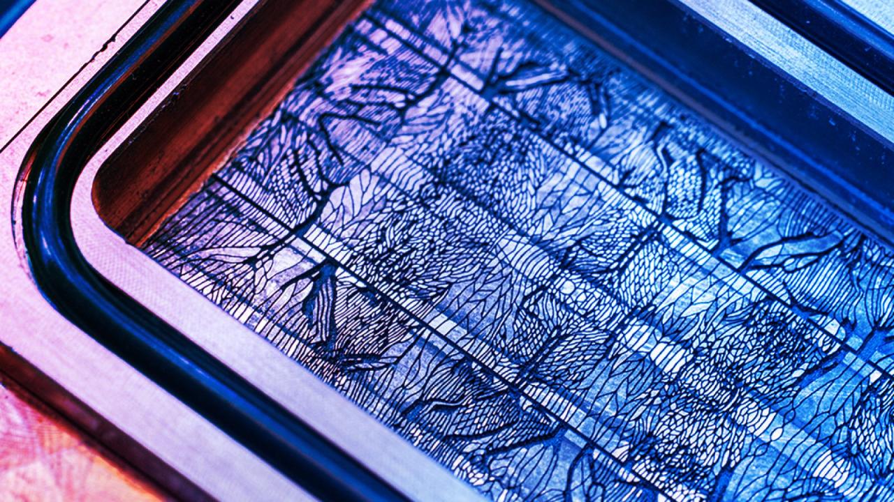 A Microsoft folyadékhűtéses csipjei adhatnak új lendületet az MI adatközpontoknak