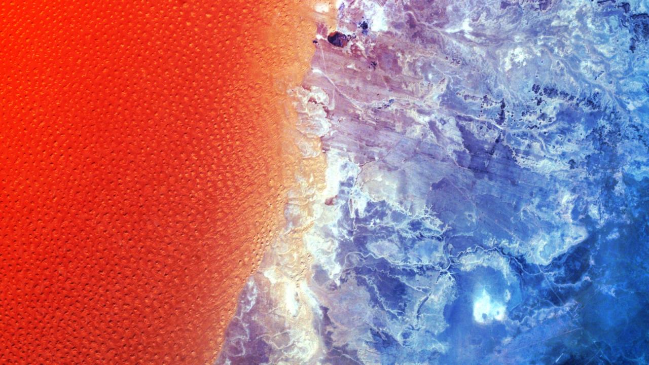 Az aranyhomok és a kővadon harca a Szaharában