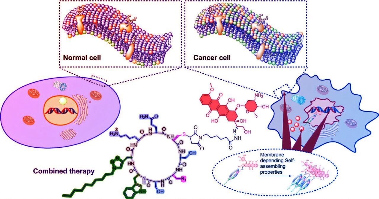 Az áttörés: Peptid nanocsövek véget vethetnek a kemoterápia kudarcának