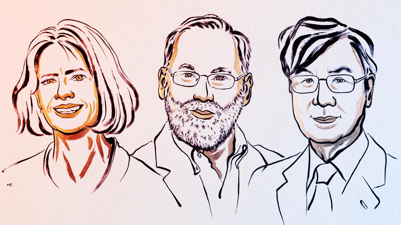 Az immunrendszerünk titkos őrei: magyarul is érthető Nobel-díjas felfedezés