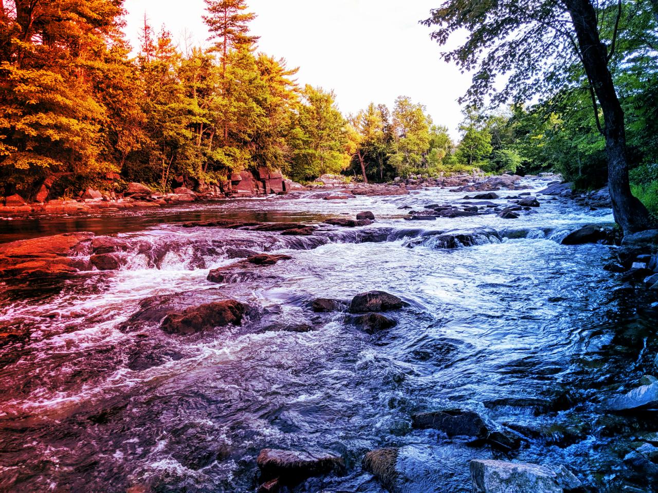 Az ipar fél a viselkedési tesztektől, mérgező anyagok vesznek körül minket