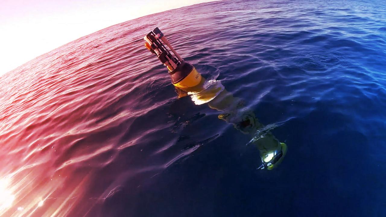 Az óceán rejtett motorja, hőhullámok szorításában