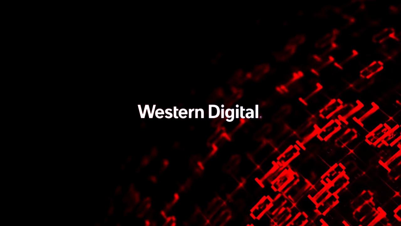 Az otthoni felhőt áttörték: súlyos hiba a WD My Cloudban