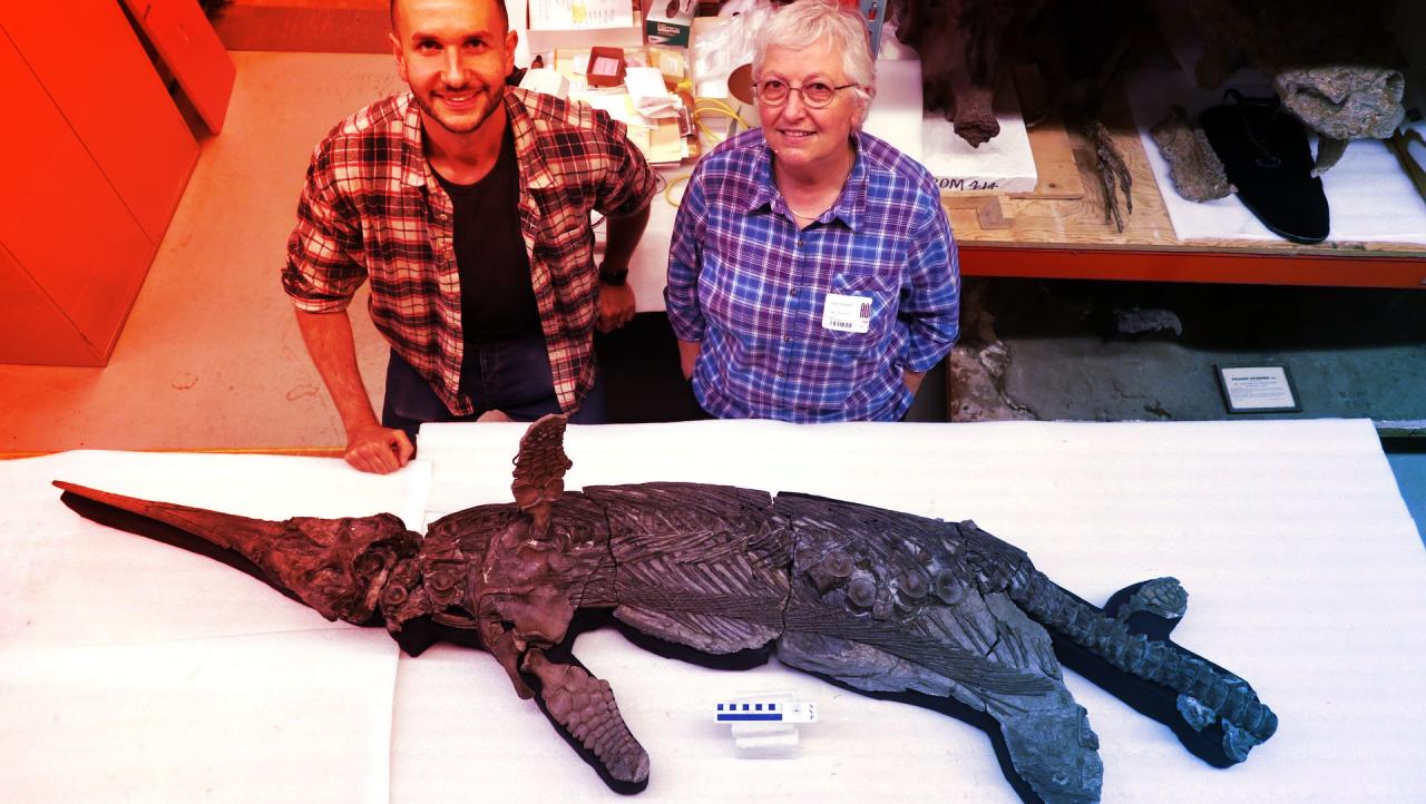 Az új „kardsárkány” dinoszaurusz a Jurassic Parkból is kimaradt