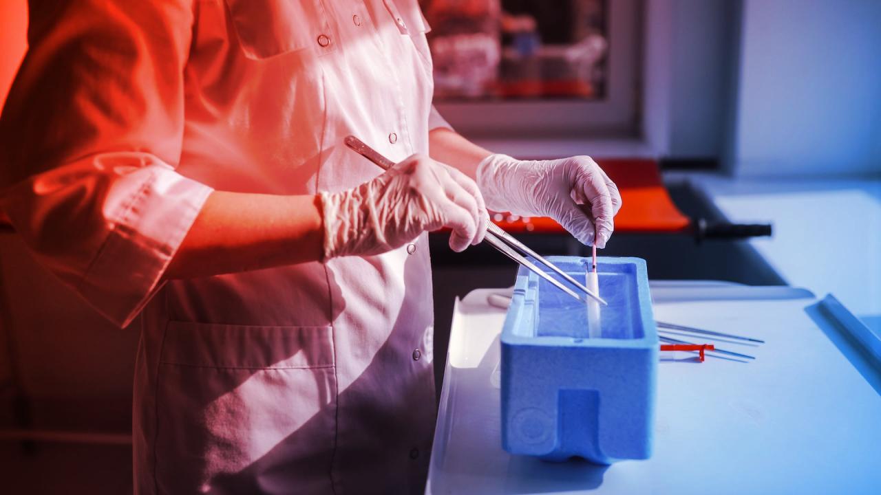 Bőrből lehet petesejt, új remény a meddőség kezelésében