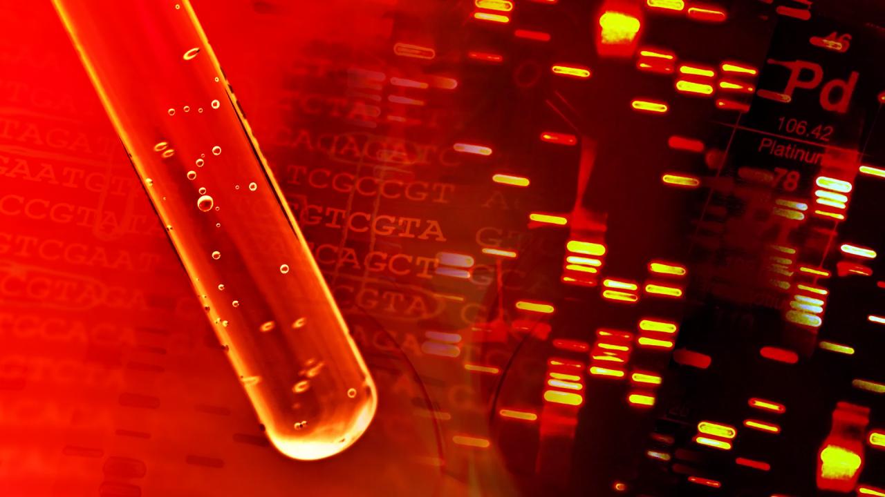 Egyetlen vérvizsgálattal akár tíz évvel korábban felismerhető a rák