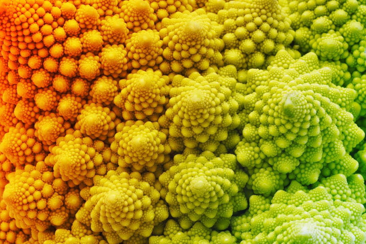 Kaotikus mintázatot rajzolnak ki az egyszerű prímszámok, akár egy fraktál