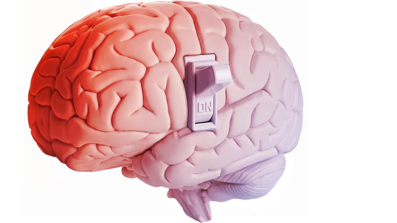 Meglepő fehérjét fedeztek fel az agyban, ami leállítja az éhséget