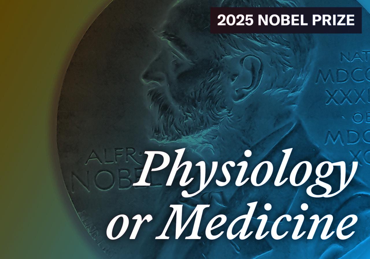 Nobel-díj járt a szabályozó T-sejtek felfedezéséért, amelyek fékezik az immunrendszert