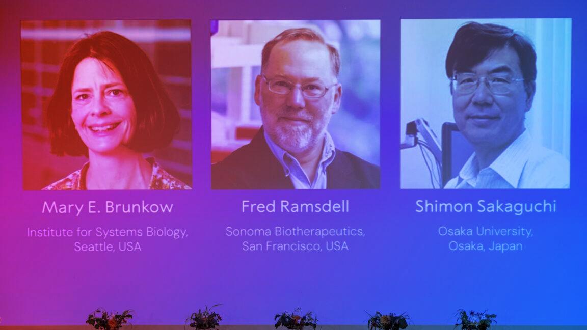 Nobel-díjat kaptak, akik rájöttek, hogyan szabályozható az immunrendszer