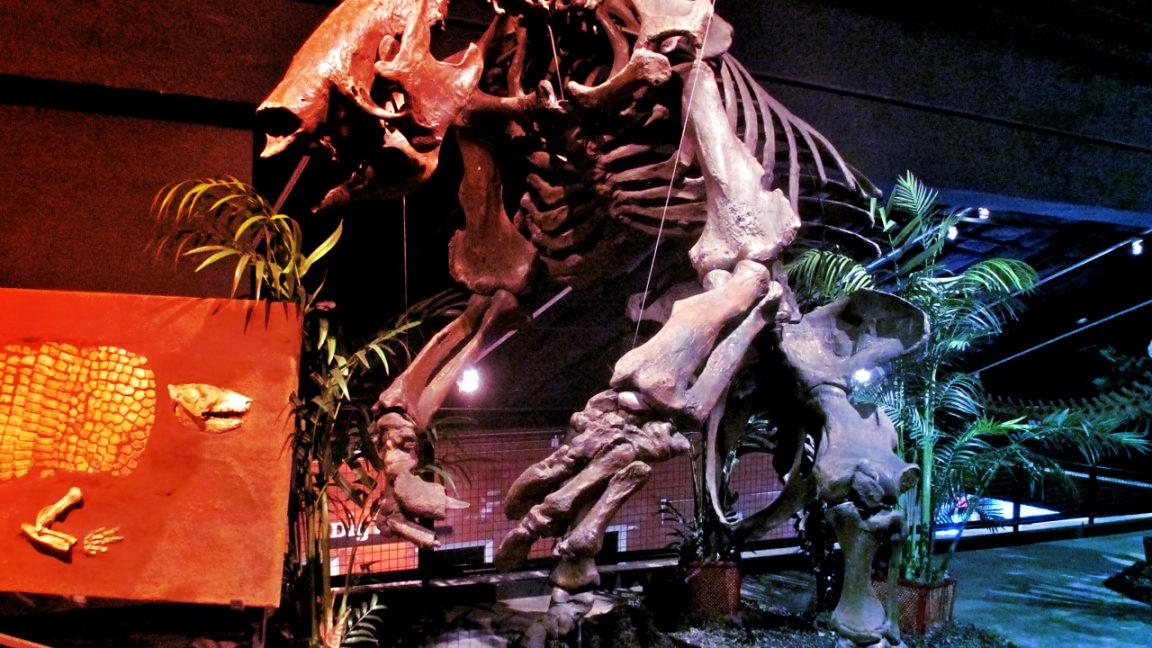 Óriások kerültek asztalra, így étkeztek az ősi dél-amerikai vadászok