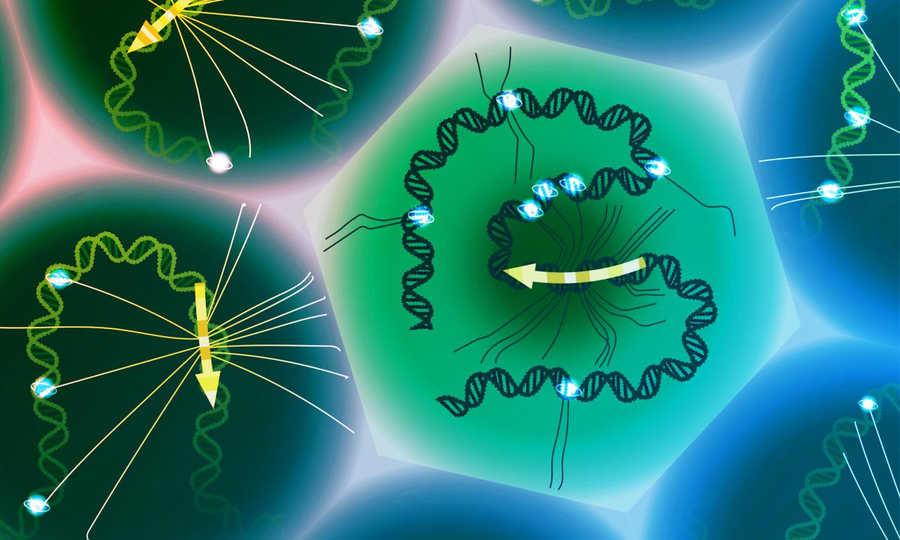 Új eszköz teszi könnyebbé a genetikai variánsok egysejtes vizsgálatát