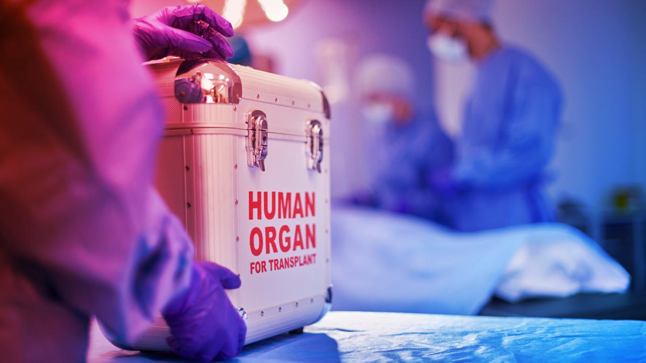 Új korszak a veseátültetésben, mostantól bárki kaphat vesét?