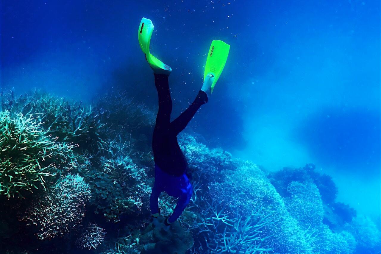 Vészesen fogynak az élő korallzátonyok a világ tengereiben