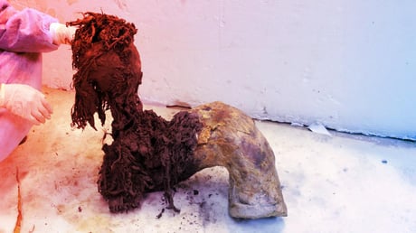 A jég fogságából: 40 ezer éves mamut-RNS szólal meg