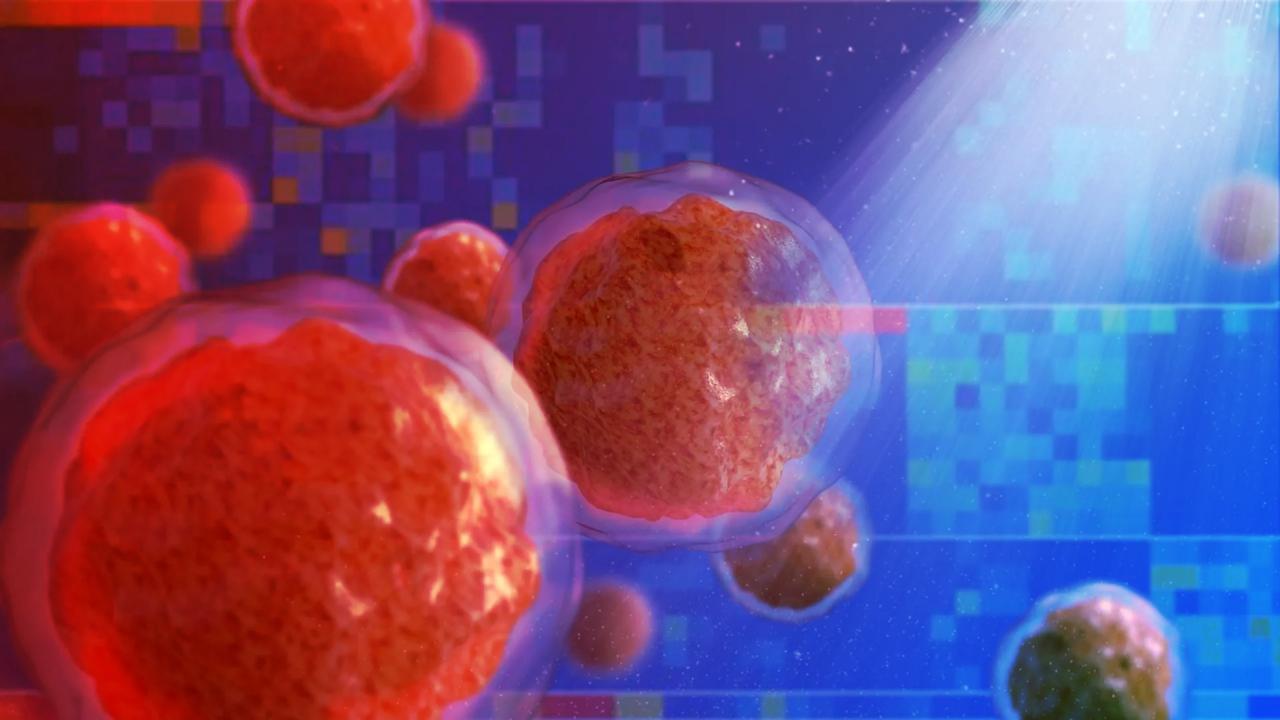 A krónikus gyulladás észrevétlenül átírja a csontvelő működését