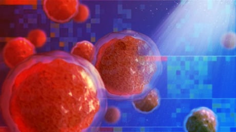 A krónikus gyulladás észrevétlenül átírja a csontvelő működését