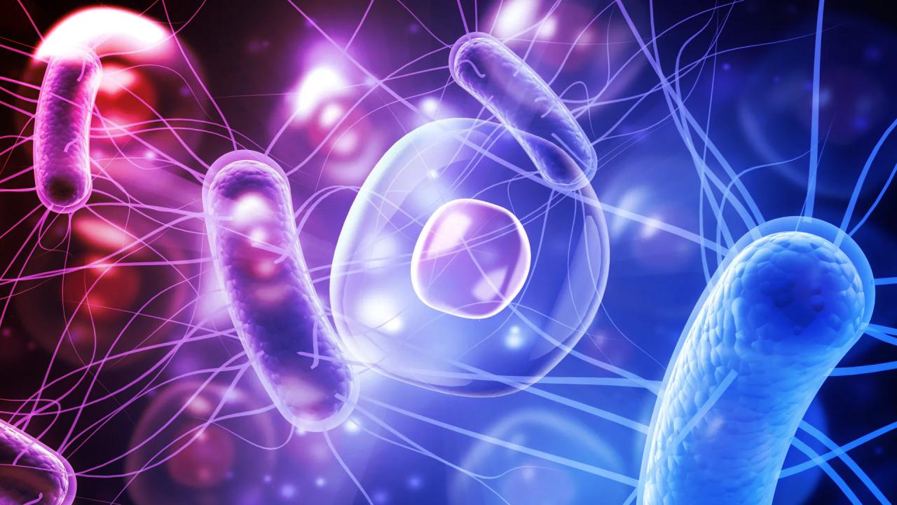 A láthatatlan élet forradalma: itt a mikrobák védelmének ideje