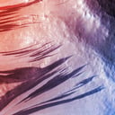 Lehullt a lepel a marsi fekete csíkok titkáról