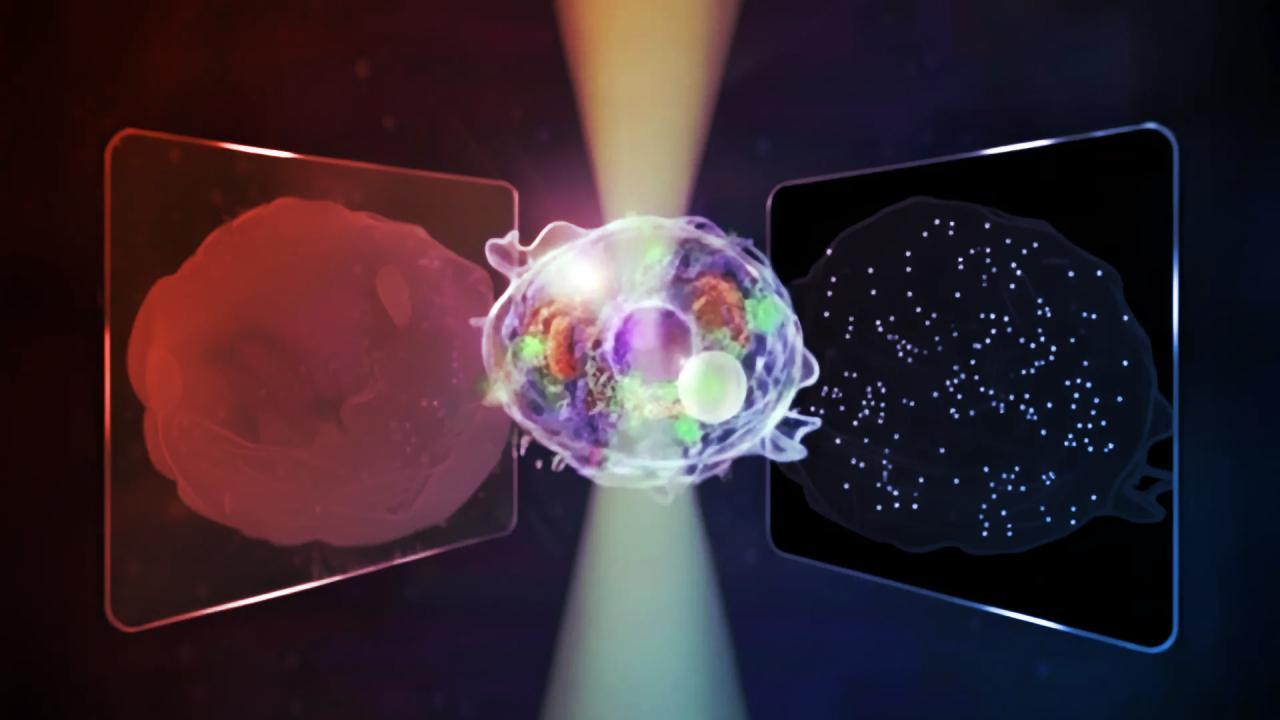 A mindent látó mikroszkóp feltárja a sejt titkait