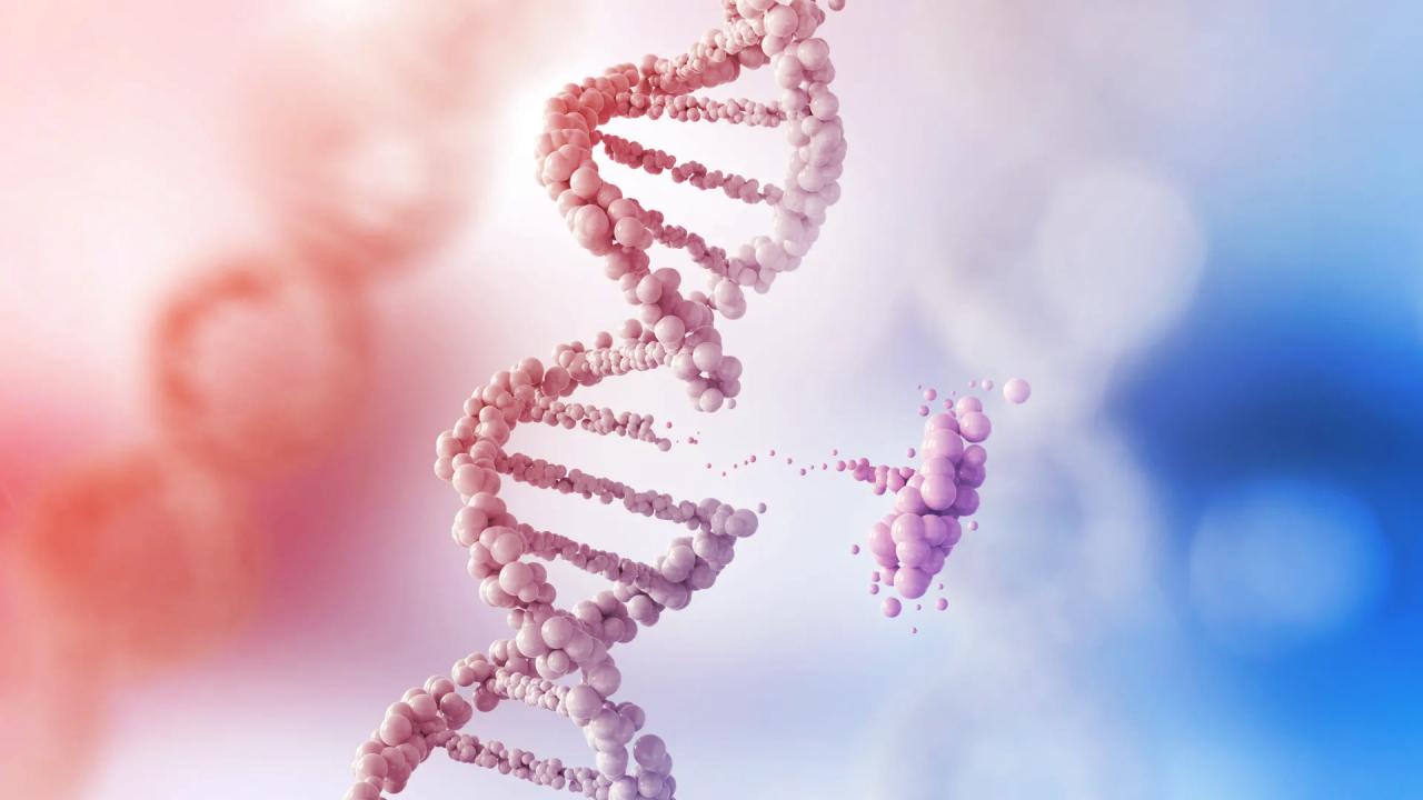 A nagy áttörés: a CRISPR újraéleszti a kemoterápiát tüdőrák ellen