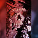 A neandervölgyi nagy orr rejtélye: nem is a hideg tette?