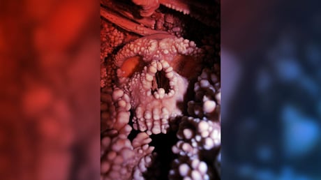 A neandervölgyi nagy orr rejtélye: nem is a hideg tette?