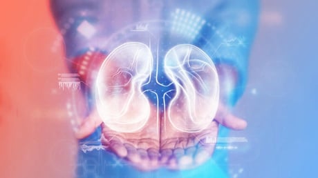 A néma vesekatasztrófa: egyre többen halnak bele