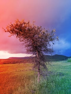 A népmesék őrzik az indiai szavannák elfeledett titkait