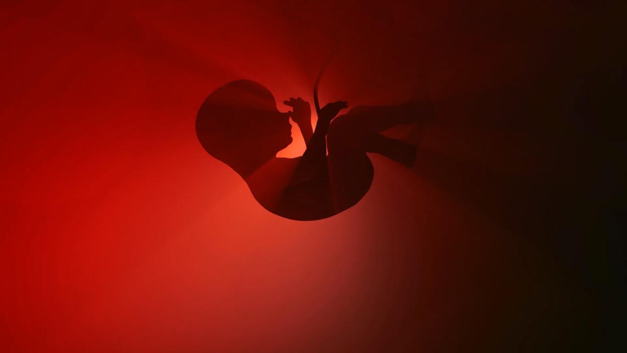 A népszerű epilepszia-gyógyszer súlyosan árthat a magzatoknak