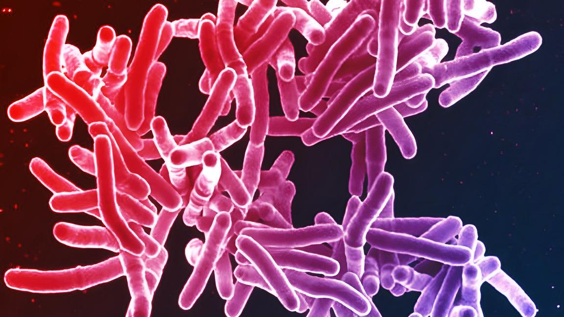 A rejtélyes, elképesztően ritka pénisztuberkulózis nyomában