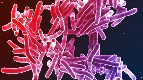 A rejtélyes, elképesztően ritka pénisztuberkulózis nyomában