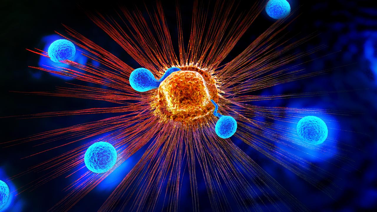 A rostban gazdag étrend felpörgeti az immunsejteket