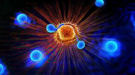 A rostban gazdag étrend felpörgeti az immunsejteket