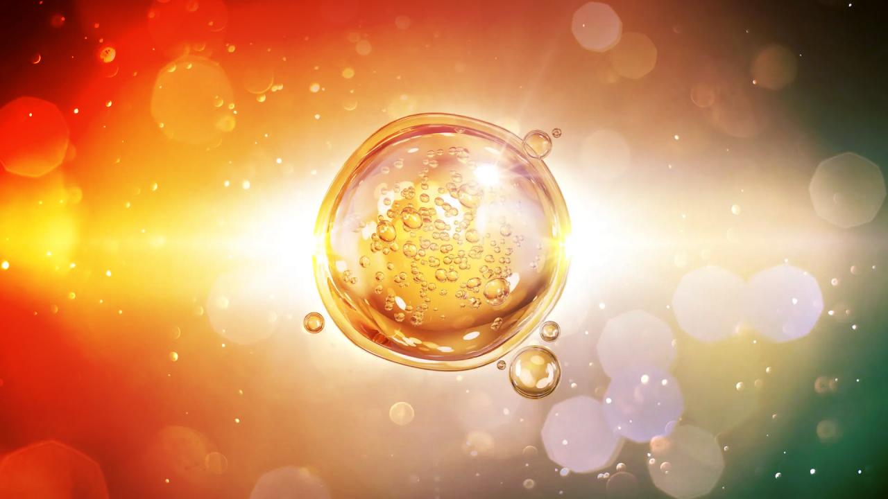 A sejtek rejtett takarítása lehet a fiatalodás kulcsa