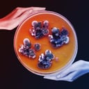 A sugárzást faló titokzatos fekete gomba