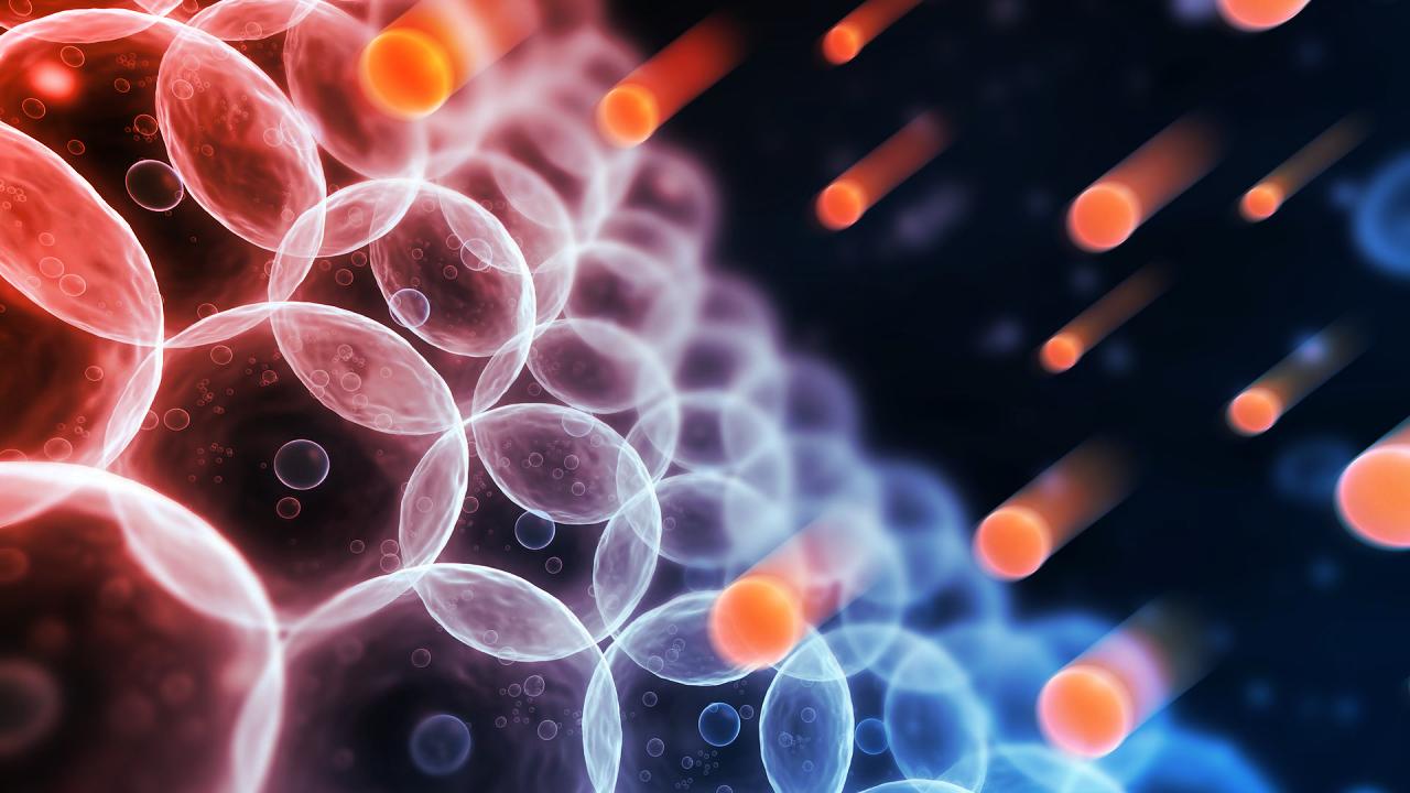 A szabadgyökök rémtörténete: tényleg akkora a veszély?