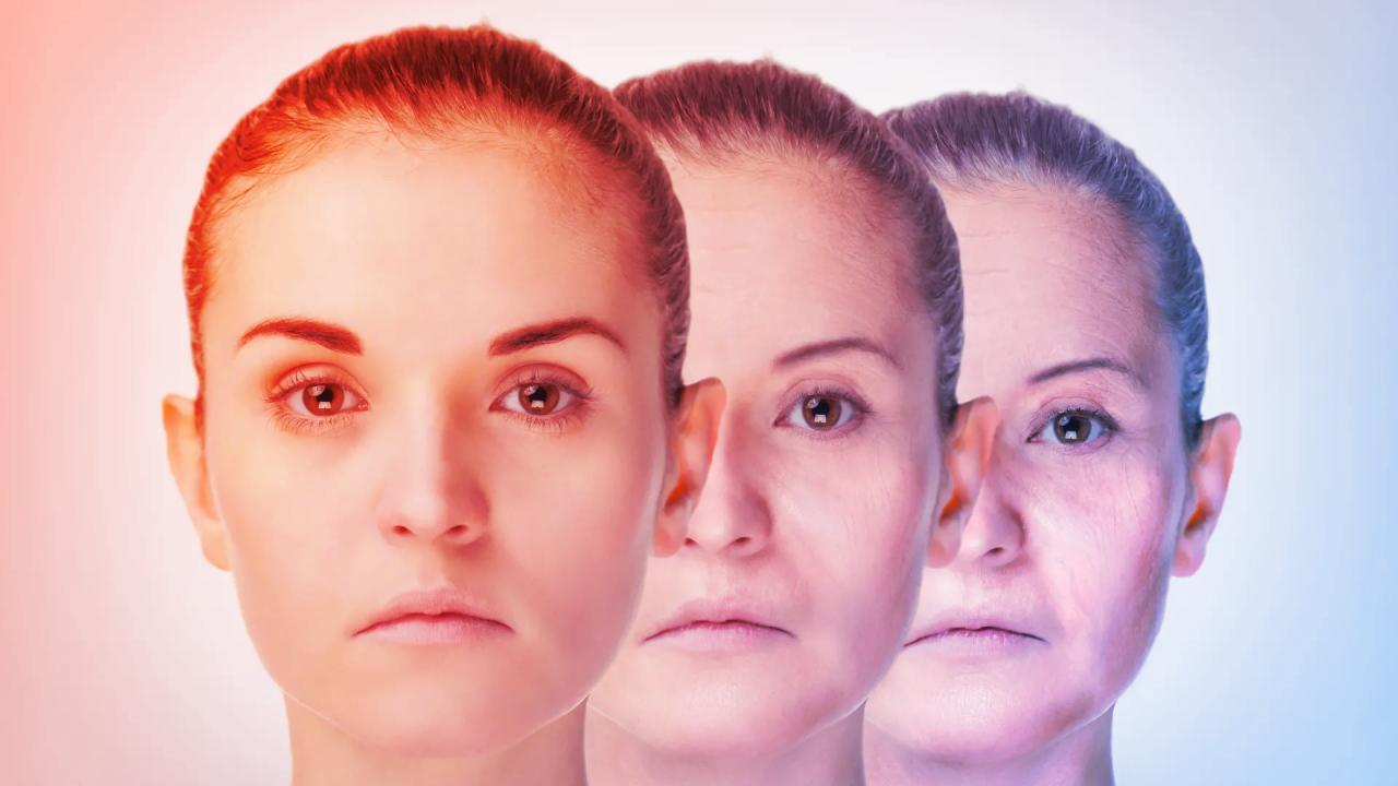 A vérben lapul az öregedés elleni új csodafegyver?