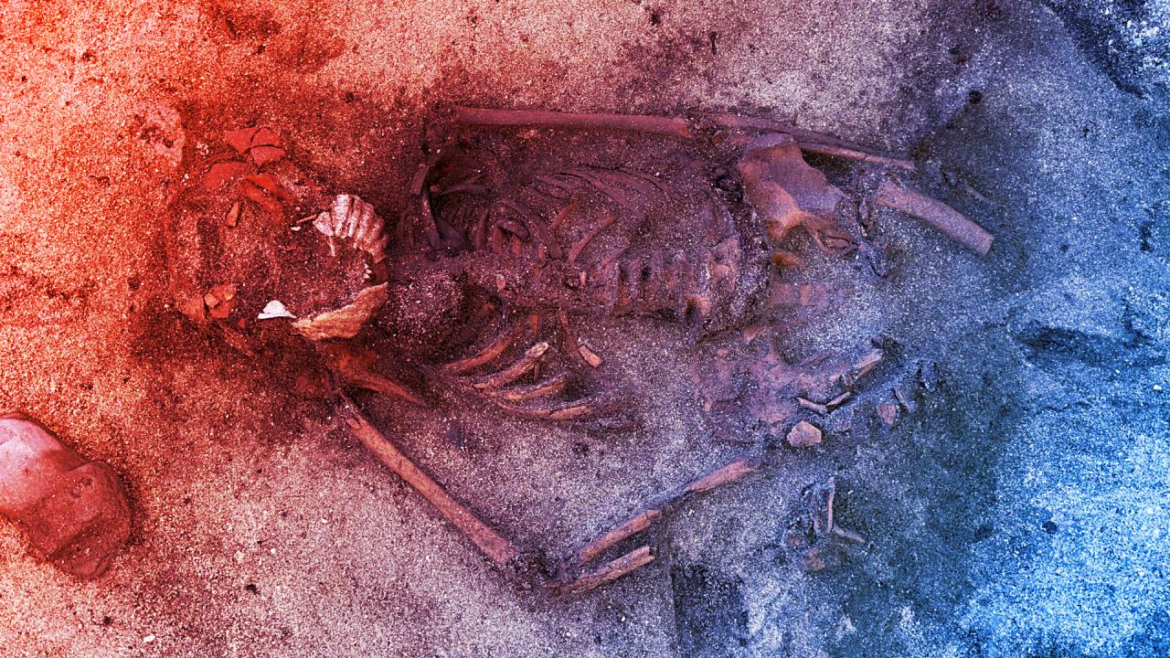 A vikingek rejtélyes halotti rítusa: fésűkagyló a szájban