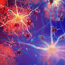 Az Alzheimer-kutatás áttörését egy brazil molekula hozhatja el