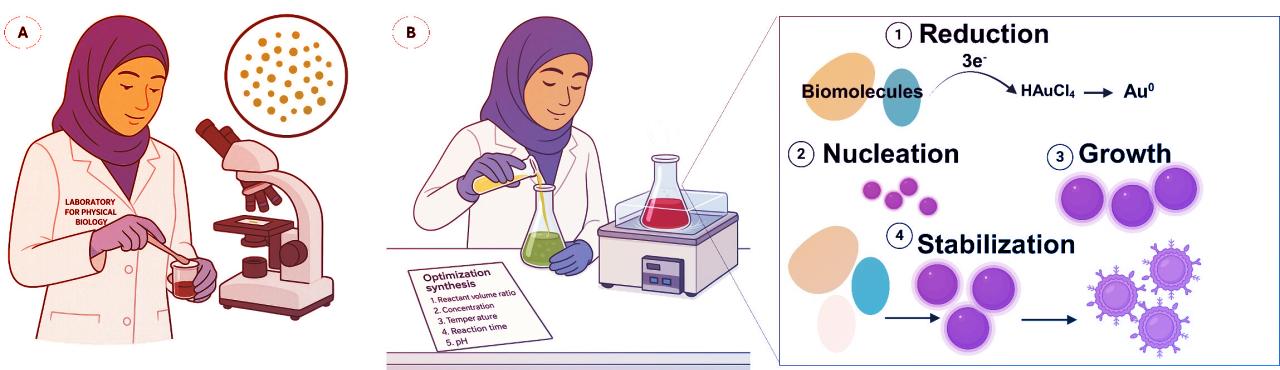 Az aranyat növesztő algák: zöld megoldás a rák ellen