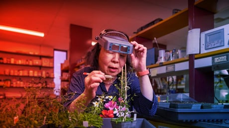 Az áttörés, amely új korszakot nyit a növénykeresztezésben