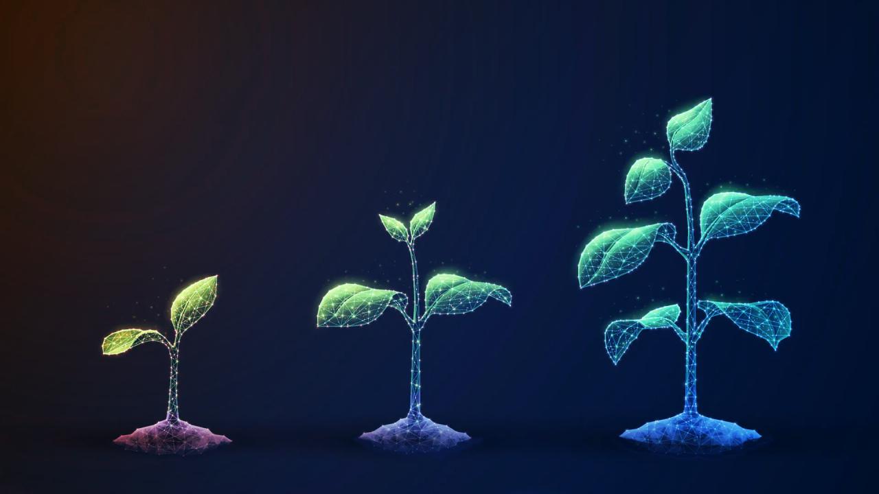 Az élet növekedésének titka, minden bőségnek van határa