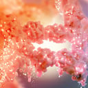 Az elhízás rejtett kapcsolója: felfedezés, amely mindent átír