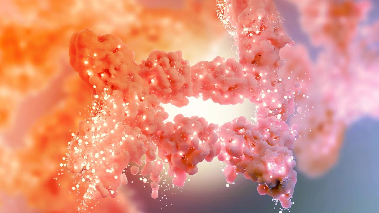 Az elhízás rejtett kapcsolója: felfedezés, amely mindent átír