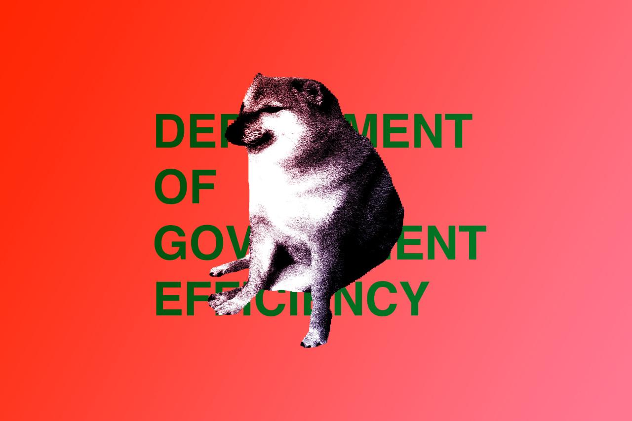 Az elképesztő káosz, amit Musk a Dogecoinnál hagyott maga után